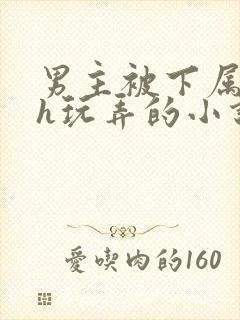 男主被下属调教h玩弄的小说