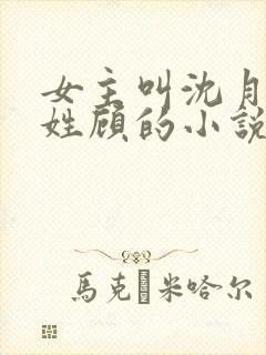 女主叫沈月男主姓顾的小说