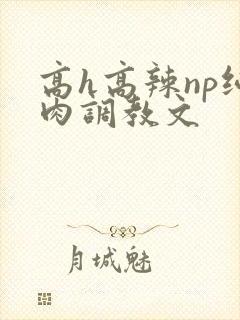 高h高辣np纯肉调教文