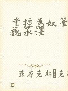 掌控为奴笔趣阁魏承泽