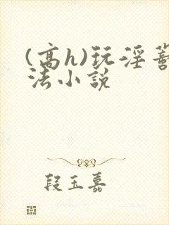 (高h)玩淫蒂法小说封面
