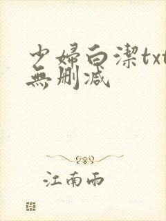 少妇白洁txt无删减封面