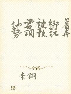 仙君被绑着用玉势调教玩弄小说封面