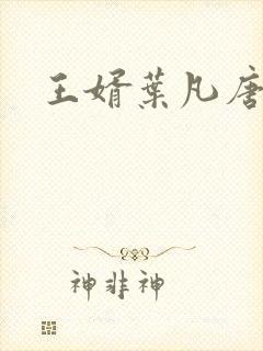 王婿叶凡唐若雪