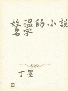 姓温的小说女主名字