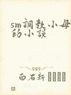 sm调教小母狗的小说封面