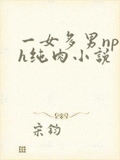 一女多男np高h纯肉小说