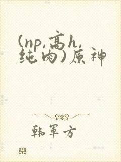 (np,高h,纯肉)原神