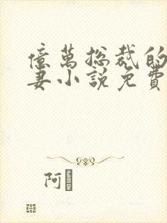 亿万总裁的隐婚妻小说免费阅读