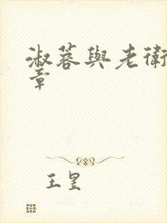 淑蓉与老卫第五章封面