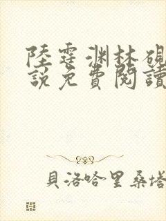 陆霆渊林砚秋小说免费阅读最新章节列表