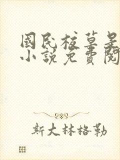 国民校草是女生小说免费阅读