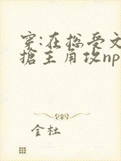 穿:在总受文里抢主角攻np封面