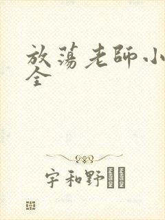 放荡老师小说大全封面