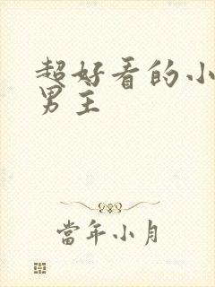 超好看的小说双男主