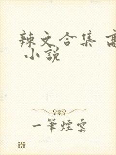 辣文合集 高h 小说封面