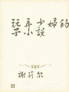 玩弄少妇的大奶子小说