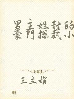 男主姓封的所有豪门总裁小说