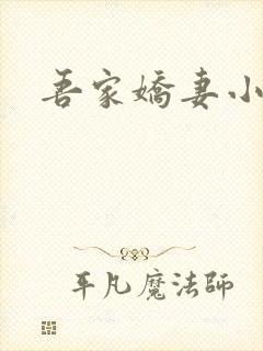 吾家娇妻小说
