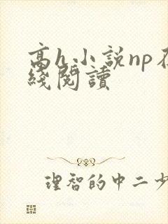 高h小说np在线阅读