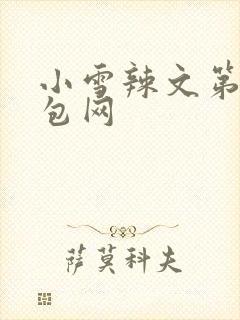 小雪辣文第二书包网