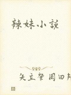 辣妹小说