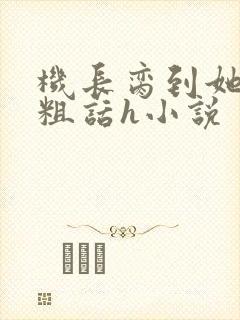 机长脔到她哭h粗话h小说