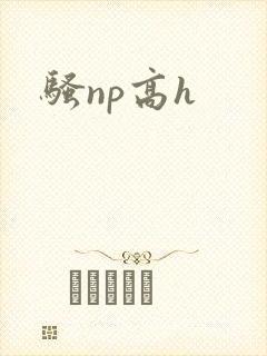 骚np高h