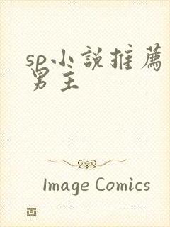 sp小说推荐双男主