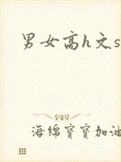 男女高h文sm封面