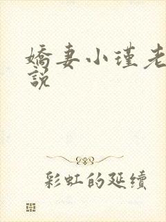 娇妻小瑾老丁小说