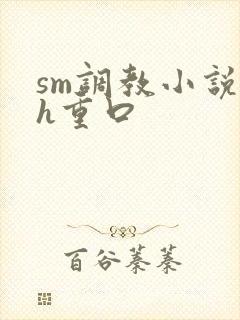 sm调教小说高h重口