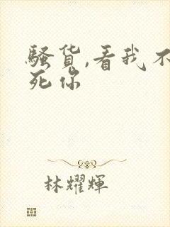 骚货,看我不操死你