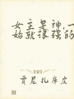 女主是神,一开始就很强的修仙文