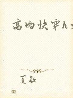 高肉快穿h文封面