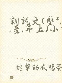 训诫文(双*,,产,年上)小说