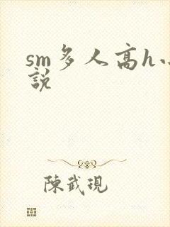 sm多人高h小说