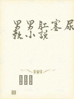 男男肛塞尿道调教小说