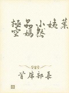 极品小姨叶凡司空嫣然