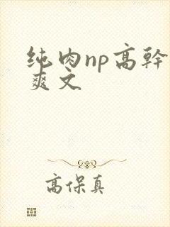 纯肉np高干h爽文封面