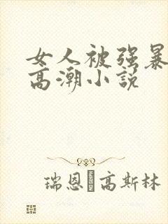 女人被强暴干到高潮小说封面