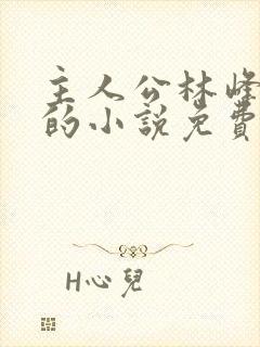 主人公林峰宁欣的小说免费阅读