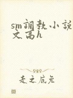 sm调教小说辣文高h