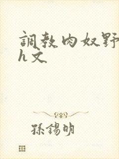 调教肉奴野原琳h文