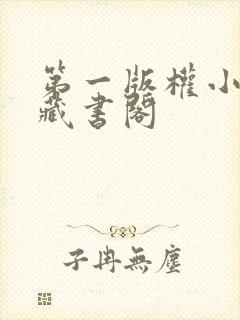 第一版权小说网藏书阁