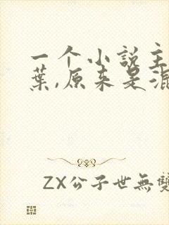 一个小说主角姓叶,原来是混混的封面