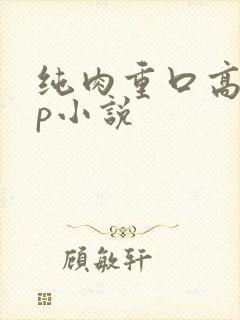 纯肉重口高辣np小说