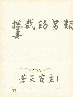 总裁的另类小娇妻