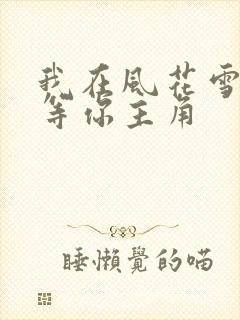 我在风花雪月里等你主角