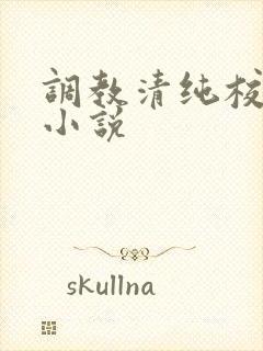 调教清纯校花h小说封面